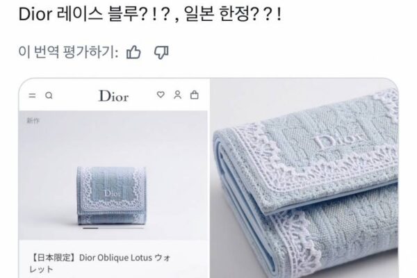 日本女性を熱狂させるディオールの財布：ITアイテム？
