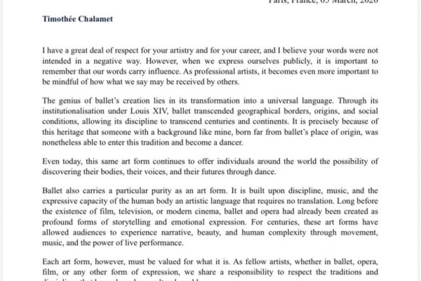 샬라메가 도화선을 밝히다: 예술계가 반응하다