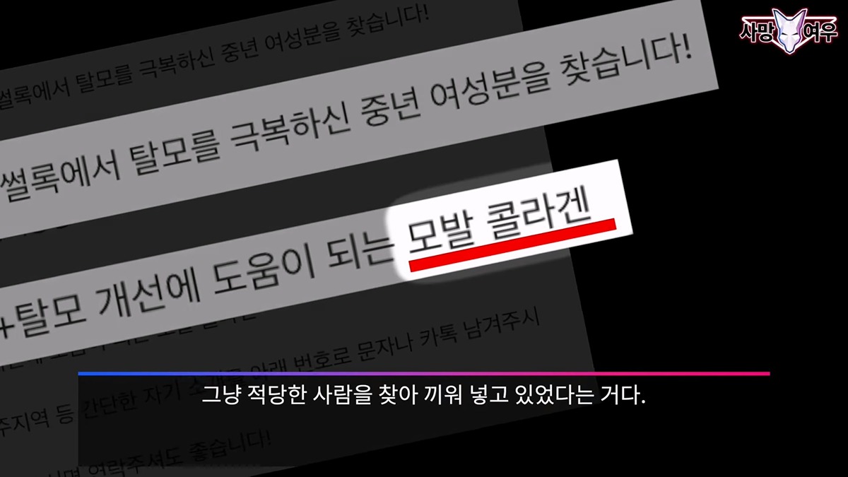 온라인 커뮤니티의 뜨거운 반응과 댓글들을 갈무리한 이미지