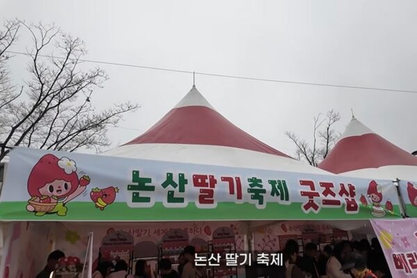 Nonsan Strawberry Plushies: The Latest K-Culture Status Symbol