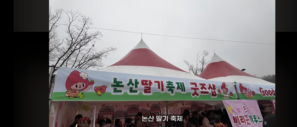 논산딸기축제 굿즈샵에 진열된 귀여운 딸기 인형들