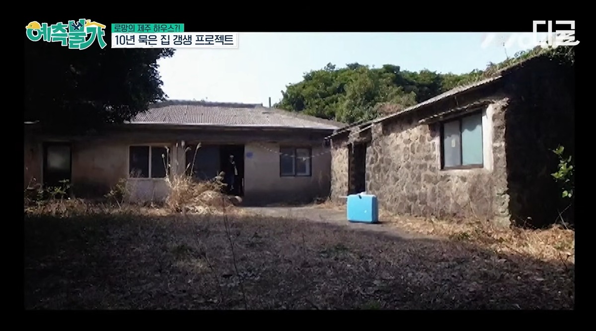 Kim Sook y su equipo inspeccionando el desastroso estado inicial de la casa en Jeju con maleza alta y estructuras deterioradas.