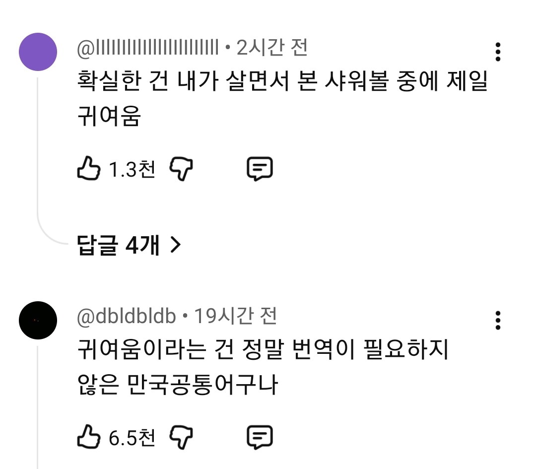 팬들을 위해 준비한 정성 가득한 역조공 선물과 편지