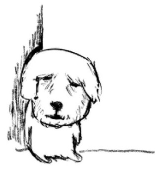 덕질 체력의 한계를 토로하는 팬들의 실시간 반응