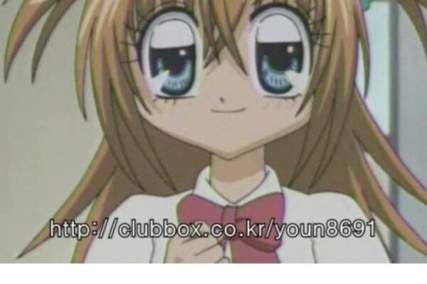 The Secret Behind the Idol Gaze: Are Axis-Fixed Lenses Worth It?