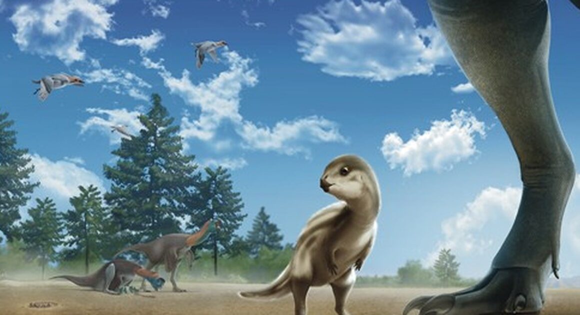 New Dinosaur Species Discovered in Sinan Named ‘Doolysaurus’