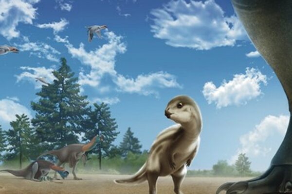 New Dinosaur Species Discovered in Sinan Named ‘Doolysaurus’