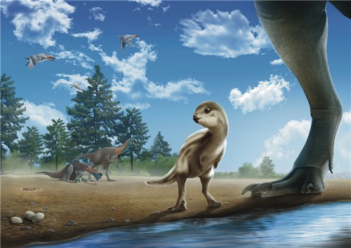 A conceptual illustration and fossil analysis of the newly discovered Doolysaurus huhmini, showing its juvenile proportions and skeletal structure.