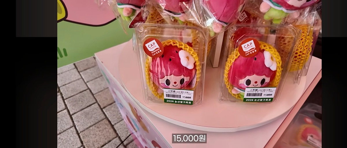 비행기를 타고 있는 디테일이 살아있는 딸기 인형 근접샷