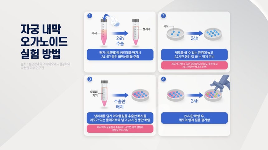 Gráfico de la investigación del profesor Park Cheon-kwon mostrando la deformación celular en organoides de endometrio