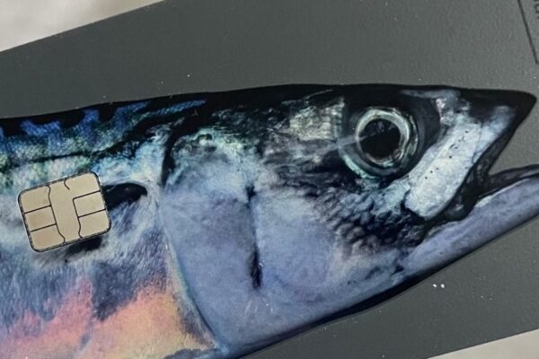 Why the new Hyundai Card design divides so much: the wallet trend that shakes up 2026