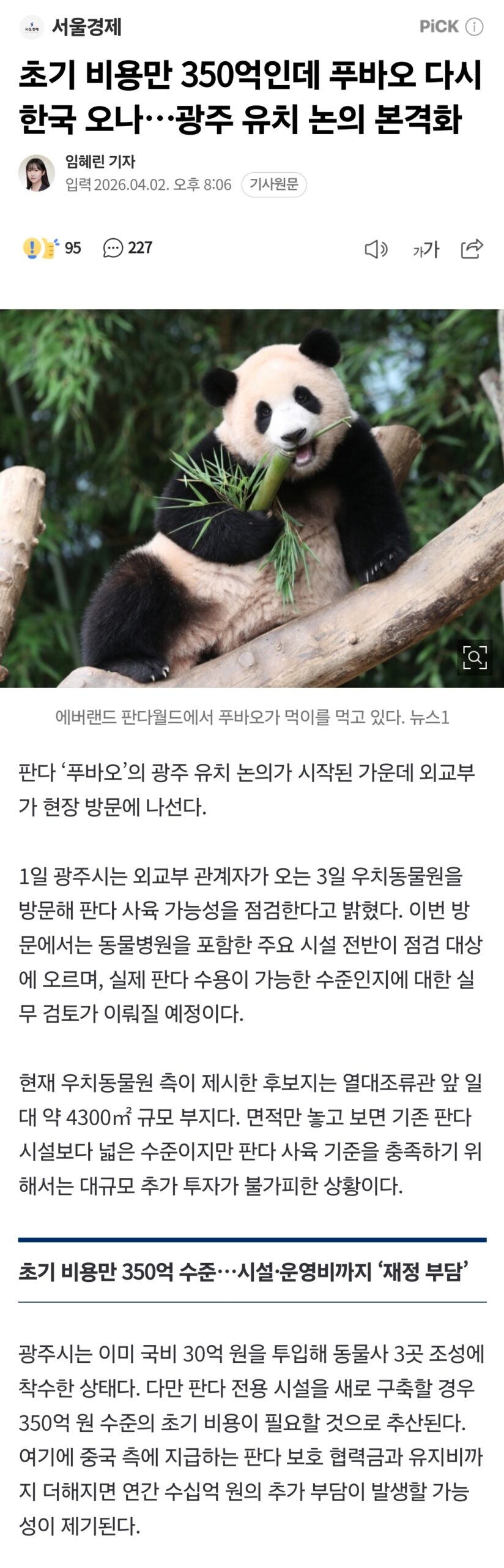 A news graphic showing Fu Bao and the text regarding the 35 billion won homecoming proposal in Gwangju.