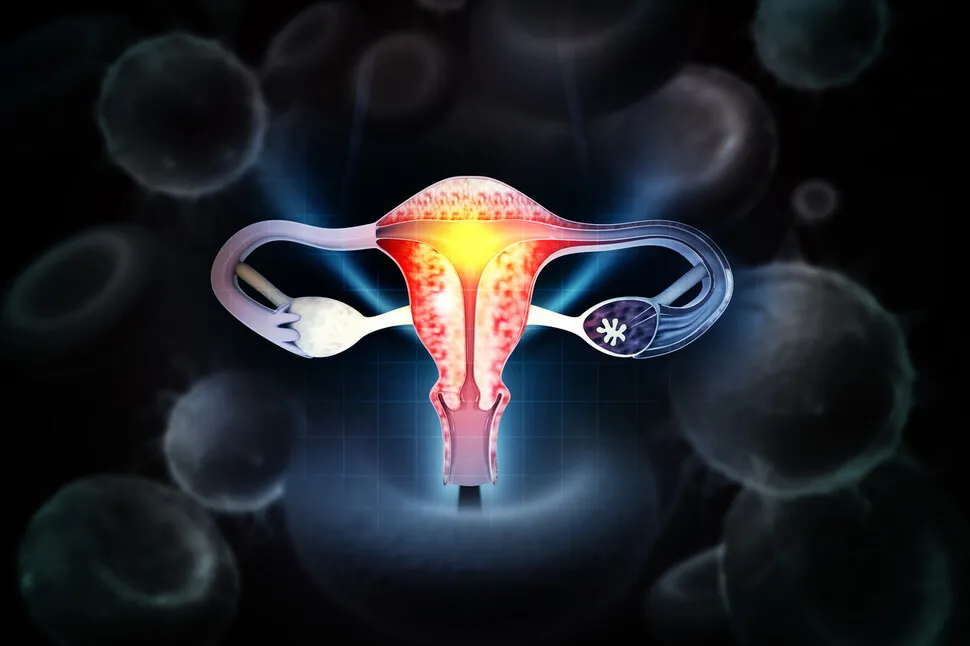 Professor Oh Young-taek of Korea University Ansan Hospital presenting research on DNA methylation at the TAOG 2026 conference.