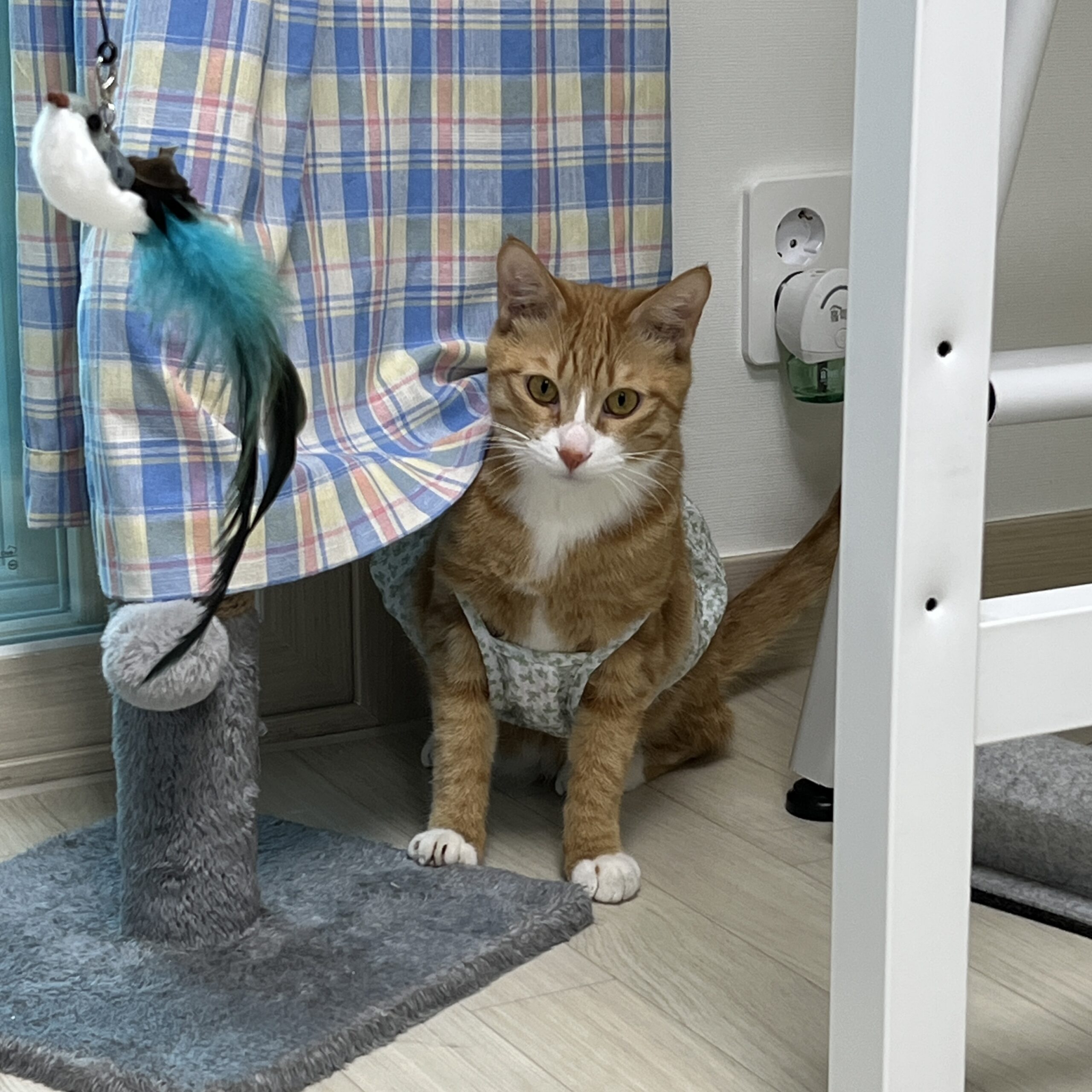 Detalle de la textura y el color del delantal de Daiso que causó la confusión