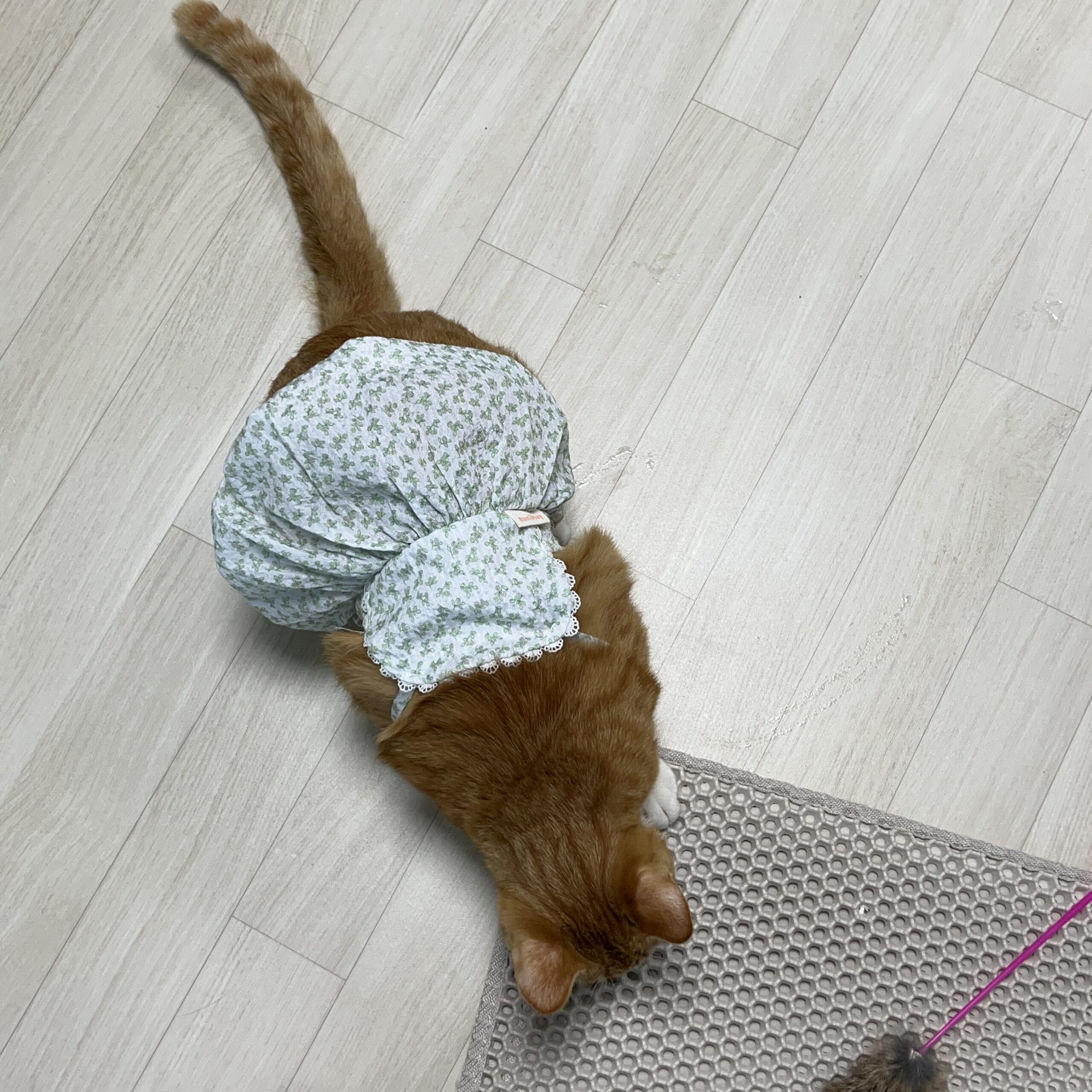 다이소 에이프런을 활용한 또 다른 착용 샷