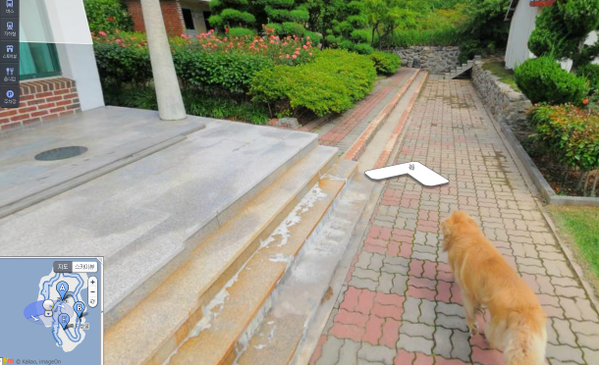 The dog sitting patiently by the side of the road on Jukdo island, looking directly into the 360-degree camera.